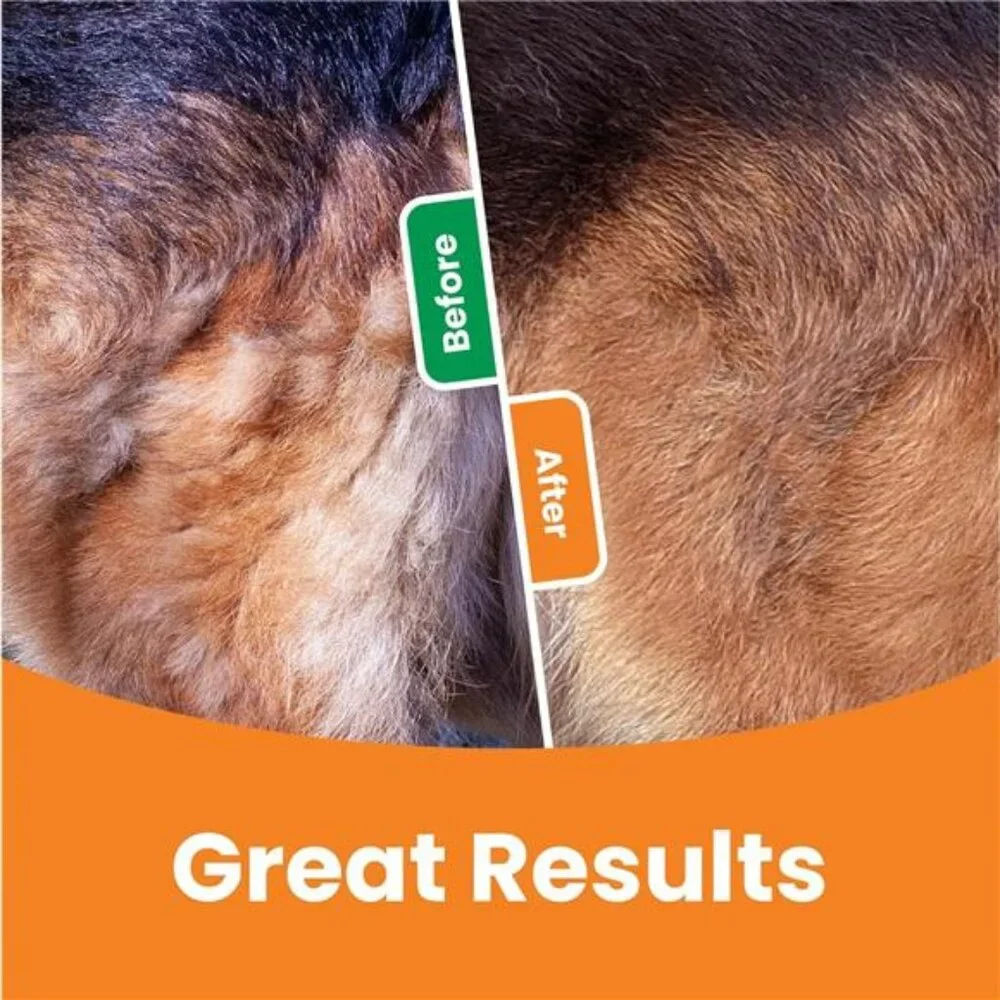 2-Sided Dematting Comb - Professional Grooming Rake for Cats & Dogs, Long Hair